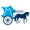 Logo of the association Association M de Marie